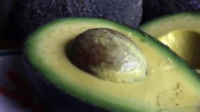 En Chile nunca falta palta: nuestro país es el segundo consumidor del mundo con casi 9 kilos por persona en 2025