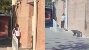 Vuelco en caso de niña que disparó en colegio de Mendoza: buscaba a inspector que la habría abusado sexualmente