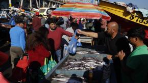 Gobierno retira del Congreso proyecto de Nueva Ley de Pesca 