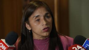 Senadora Campillai critica agresión a Rojas Vade: "Nadie merece ser víctima de una atrocidad como esta"