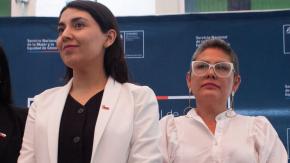 "Inhumanidad indescriptible": Oposición pide revertir despido de directora del Sernameg y anuncian oficio al ministerio