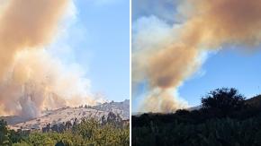 Evacúan dos sectores en San Antonio por incendio forestal: activaron mensajería SAE