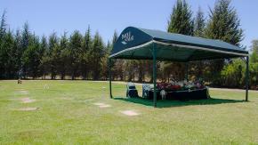 Una tarjeta de $20 mil para comprar café: la insólita compensación que ofrecieron a familia que encontró cuerpo en tumba de su madre