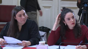 Polémico “amarre”: mano derecha de ex subsecretaria de Patrimonio Cultural aterriza en el Consejo de Monumentos