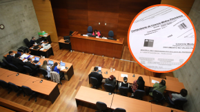 Seis personas fueron formalizadas por mal uso de licencias médicas: se esperaban 49 pero no todas fueron notificadas 