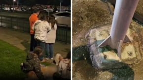 Denuncian que perrito falleció electrocutado tras apoyarse en poste de luz en Viña del Mar