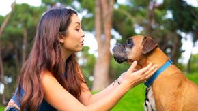 Hablarle a la mascota como si fuera una persona: el verdadero trasfondo de esta conducta y cómo puede afectar en el día a día