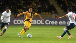 Sudamericana, la copa de los millones: el verdadero botín del fútbol chileno