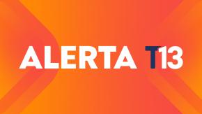 Parte de palmera cae sobre una persona en la Plaza de Armas de Santiago