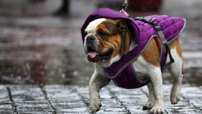 Alerta temprana preventiva para 10 comunas de la RM por lluvia, viento e isoterma cero baja