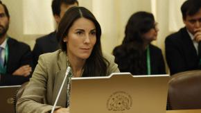 La declaración de patrimonio de la ministra Arzola: inmuebles que suman $938 millones y una deuda de $360 millones