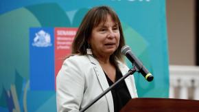 Exministra Vega presenta denuncia a Contraloría por designación de director (s) del Hospital de San Antonio