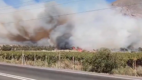  Senapred decreta ALERTA ROJA en Vicuña por incendio forestal: fuego amenaza sectores poblados