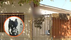 Le dicen "El Pantano": Así es el lugar donde estuvo secuestrada comerciante peruana