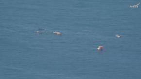 HISTÓRICO: cápsula Orion completa su regreso a la Tierra y ameriza en el Pacífico tras misión lunar de Artemis 2