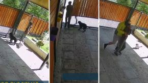 “Le traigo un pedido…”: Así opera la 'Banda del delivery' que hizo millonario y violento robo a adulta mayor en La Florida