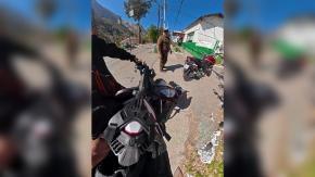 "Ten cuidado con tus palabras": Sujeto agotó la paciencia de carabinero con inapropiados dichos y acabó con su moto incautada