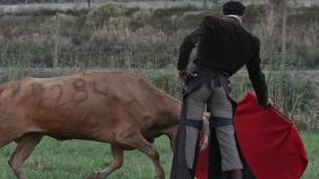 Torero español en estado crítico tras caer a una trituradora