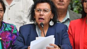 Diputada Lorena Pizarro sufre portonazo frente a su casa