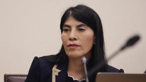 Lincolao asegura estar en un proceso de adaptación a la política chilena: "Estoy tratando de aprender lo más rápido posible"