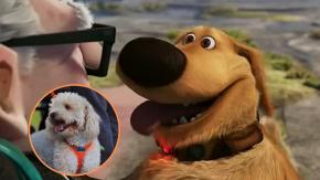 ¿Como en ‘Up’? Así funcionará el sorprendente collar con IA que traduciría ladridos y maullidos de mascotas