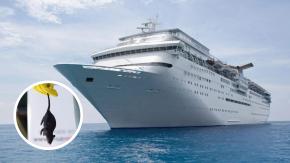 “Lo único que queremos es volver a casa”: influencer relata crisis desde crucero varado tras muertes por posible hantavirus