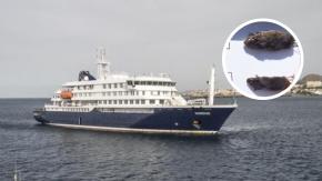 Minsal informa aislamiento preventivo de dos chilenos tras embarcar en crucero con brote de hantavirus
