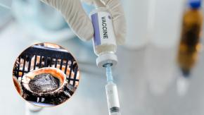 Prometedores resultados de vacuna chilena contra el cáncer desarrollada con proteína del loco: Así es cómo funciona