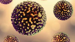 Así escapa el hantavirus al control del sistema inmunitario: ¿cómo puede evitarse?