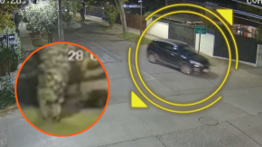 Ciudadana coreana sufrió violento asalto en Las Condes: dos detenidos son menores de edad