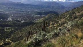 Bomberos inicia búsqueda de tres personas extraviadas en cerro Maquehue