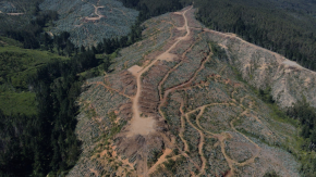 La cuenta regresiva para la aprobación del emblemático proyecto de tierras raras en Penco (y la recomendación favorable del SEA)