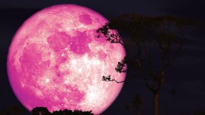 Luna de Fresa 2026: Cuándo y a qué hora podrá verse nuestro país