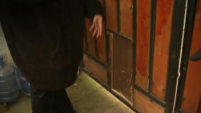 Entraron por la puerta del perro: Delincuentes atropellaron a mujer con su propio auto