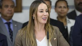 Las frases que dejó la entrevista a Sedini tras su salida del Gobierno: "Yo diría que hubo una campaña articulada" 