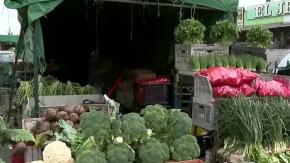 Tomates, zapallo, papas y más: las verduras que más suben de precio producto del sistema frontal
