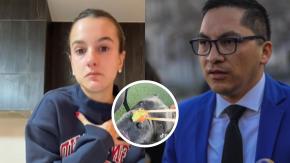 Luego de que le dieran wasabi a su perro: diputado Videla denunciará a influencer por eventual maltrato animal