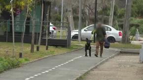 "Nadie se mete con mi hijo": hombre fue mordido de perro callejero y luego golpeado por persona en situación de calle