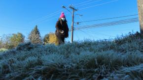 Hasta -8°C: Emiten aviso por intensas heladas para este domingo en el sur de Chile