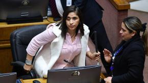 Fabiola Campillai no permitió ingreso de PDI a su hogar en investigación contra su yerno: Senadora explicó los motivos