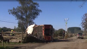 Muerte de bombera en La Araucanía: Comandante que conducía carro bomba iba bajo los efectos del alcohol, según alcotest