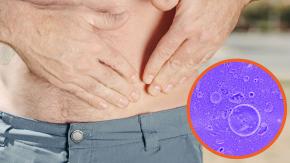 Detectan el origen de infección intestinal que ha dejado más de 90 hospitalizados en EE.UU.
