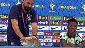 La "maldición" de Hexa, el gato que "bloqueó" a Brasil desde el Mundial de Qatar