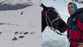 Pangal Andrade lideró rescate de 12 caballos en la nieve: yegua de 30 años se salvó gracias a un trineo improvisado 