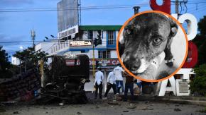 Policía colombiana despide a perrita asesinada en atentado terrorista de Cúcuta: "Una de nuestras más fieles compañeras"