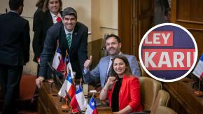 Apoyado por PNL, Republicanos e independientes: Los argumentos tras proyecto que busca suspender por cinco años la Ley Karin