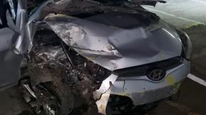 Robaron auto, intentaron atropellar a carabineros y terminaron en regadío: dueño del vehículo se percató horas después 