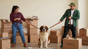 ¿Con quién se queda el perro?: Abogado explica qué pasa con las mascotas tras un divorcio en Chile