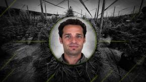 Tráfico VIP: Arquitecto investigado en “Imperio Amsterdam” fue condenado por venta de marihuana a granel en su casa de Las Condes