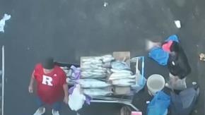 Carne de perro, aves faenadas y pescados con cloro: los insólitos hallazgos en los alrededores del Tirso de Molina